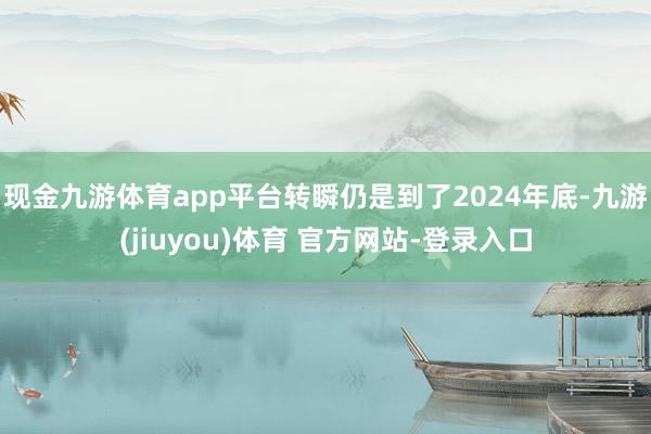 现金九游体育app平台转瞬仍是到了2024年底-九游(jiuyou)体育 官方网站-登录入口