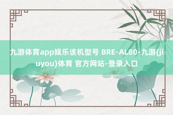 九游体育app娱乐该机型号 BRE-AL80-九游(jiuyou)体育 官方网站-登录入口
