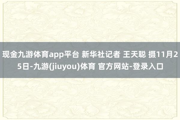 现金九游体育app平台 新华社记者 王天聪 摄11月25日-九游(jiuyou)体育 官方网站-登录入口